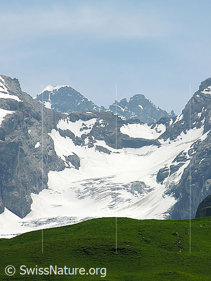 Foto: Gamchigletscher und Gamchilücke von der Bundalp, Kiental.