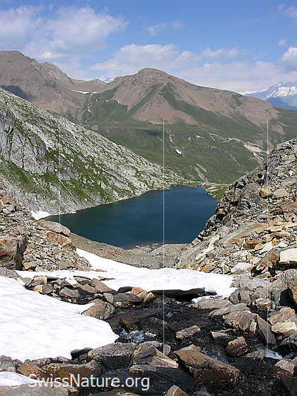 Foto: Blick von S auf den Blausee. Hintergrund: Bättlihorn und Milihorn. Im Vordergrund: Ein Bergbach.