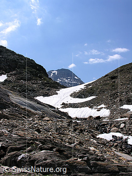 Foto: Blick über die Blauseelicke zum Gipfel des Bortelhorn.