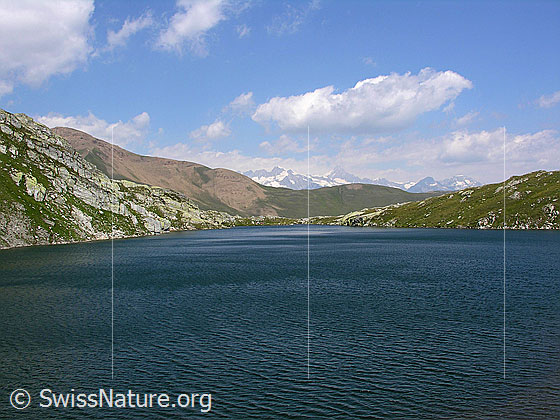 Foto: Blick über den Blausee. Im Hintergrund die Berner Alpen.