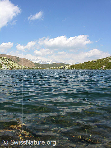 Foto: Blick über den Blausee. Im Hintergrund die Berner Alpen.