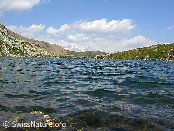 Foto: Blick über den Blausee. Im Hintergrund die Berner Alpen.