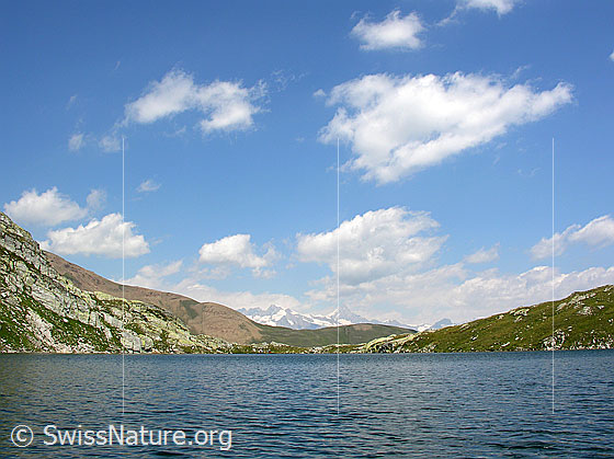 Foto: Blick über den Blausee. Im Hintergrund die Berner Alpen.