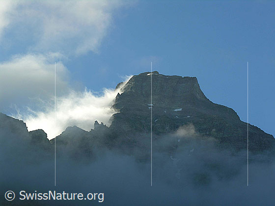 Foto: Vordere Helse mit Morgenstimmung.