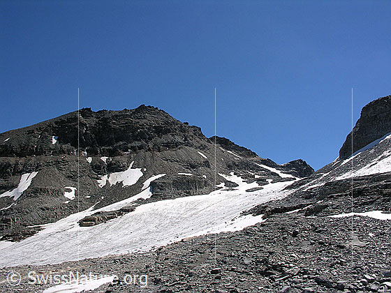 Foto: Helsegletscher und Helsenhorn von W.