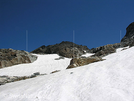 Foto: Blick über den Helsegletscher zum Helsenhorn.