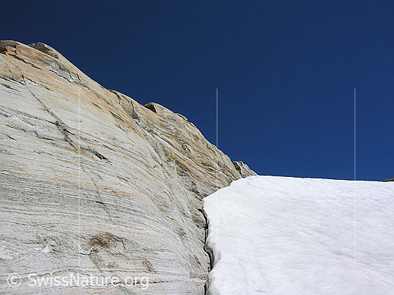 Foto: Heller Felsen am Rand des Helsegletschers.