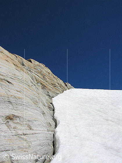 Foto: Heller Felsen am Rand des Helsegletschers.