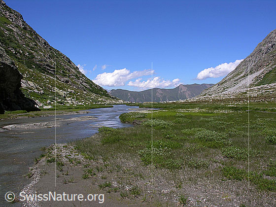 Foto: Unberührte Landschaft beim Chummewasser im Chummibort.