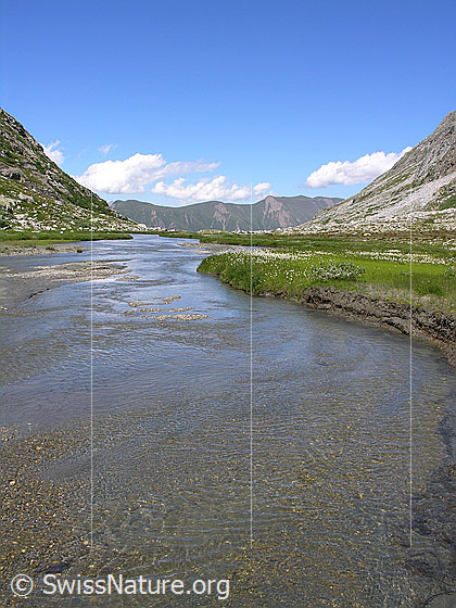 Foto: Freier Lauf des Chummewassers im Chummibort.