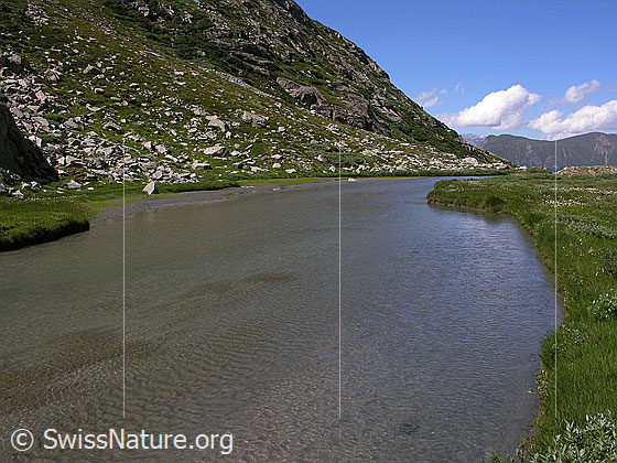 Foto: Freier Lauf des Chummewassers im Chummibort.