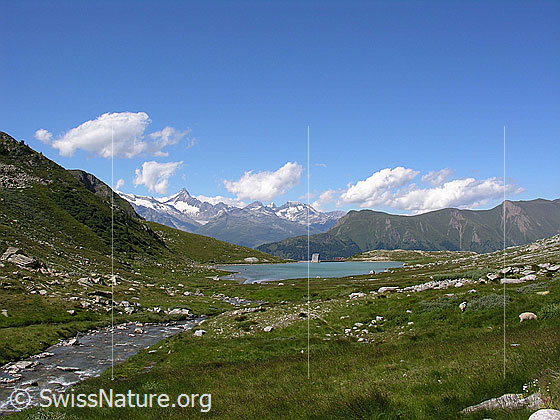 Foto: Bergbach und Staubecken im Chummibort. Im Hintergrund die Berner Alpen.