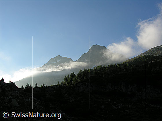 Foto: Im Aufstieg über das Flesch. Morgenstimmung um das Schwarzhorn und Fleschhorn.
