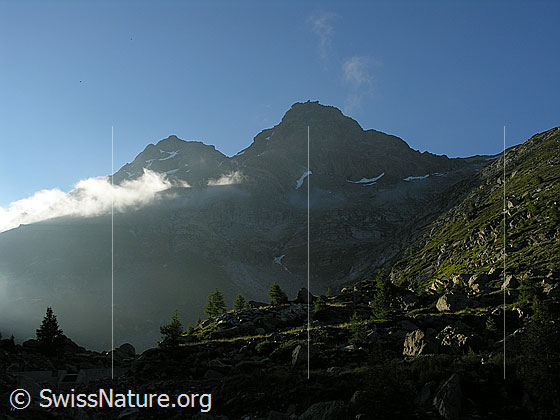 Foto: Im Aufstieg über das Flesch. Morgenstimmung um das Schwarzhorn und Fleschhorn.