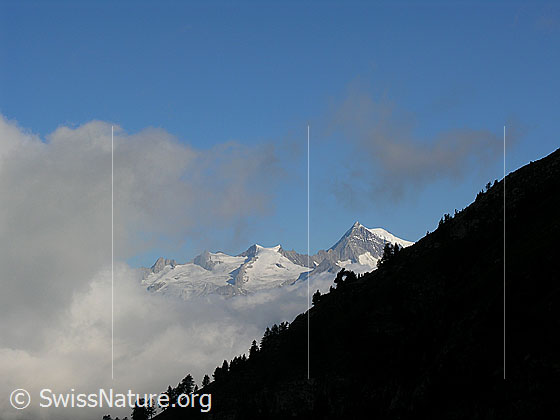 Foto: Im Aufstieg zum Fleschsee. Blick Richtung Berner Alpen. Durch die Wolkenlücke sind Geisshorn und Aletschhorn zu sehen.