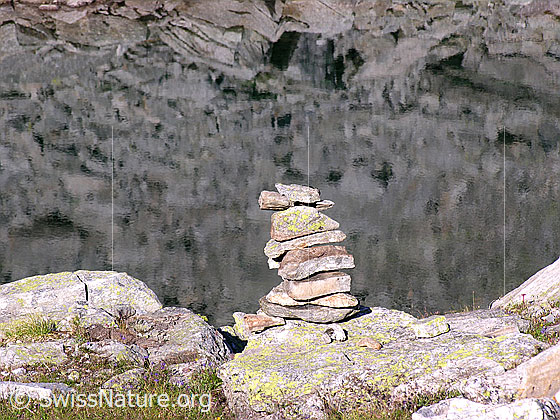 Foto: Steinmann am Ufer des Fleschsees.