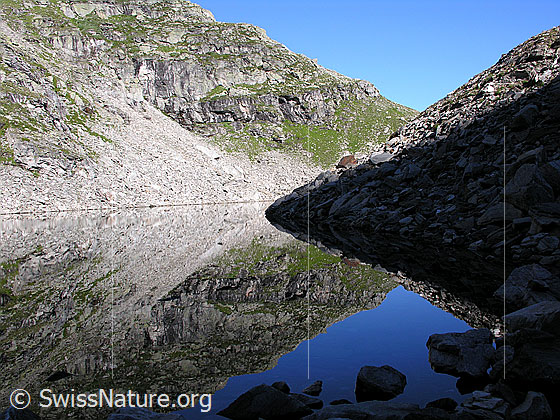 Foto: Spiegelung des Grates zum Wannihorn im Fleschsee.