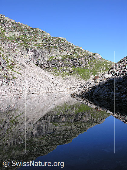 Foto: Spiegelung des Grates zum Wannihorn im Fleschsee.