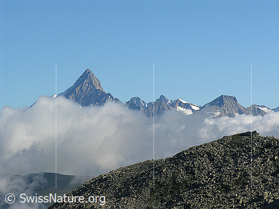 Foto: Im Aufstieg zum Halbelfjoch. Blick Richtung Berner Alpen auf das von Wolken umgebene Finsteraarhorn. Im Vordergrund der Grat zum Stockhorn.