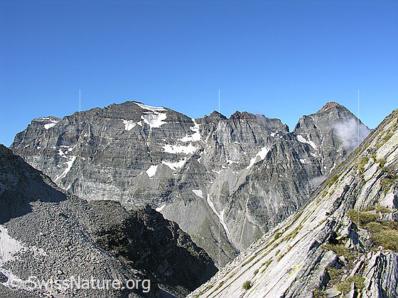 Foto: Blick vom Halbelfjoch beim Wannigletscher zum Helsenhorn und zur Vordere Helse. Im Vordergrund rechts der Aufschwung zum Wannihorn.