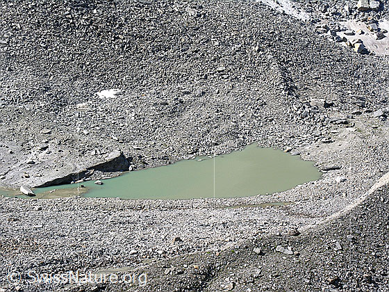 Foto: Blick vom Halbelfjoch auf den Wannisee und die Moränen des Wannigletschers.