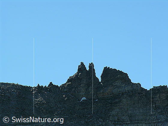 Foto: Felstürme beim Passo degli Ometti oberhalb Wannigletscher.