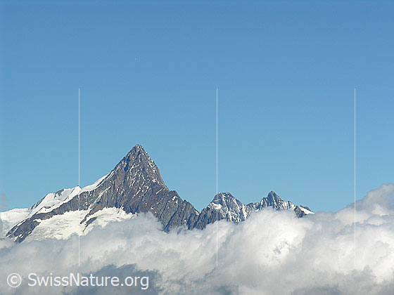 Foto: Blick vom Halbelfjoch beim Wannigletscher zum Finsteraarhorn.