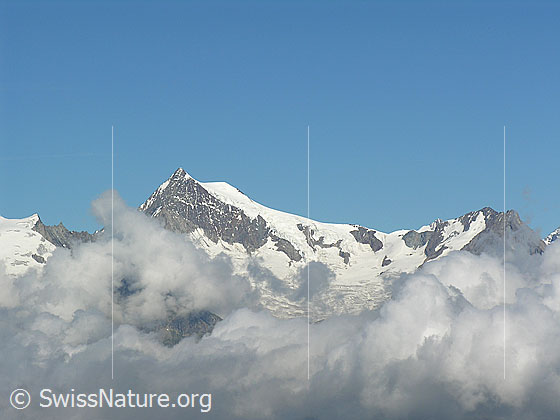 Foto: Blick vom Halbelfjoch beim Wannigletscher zum Aletschhorn.