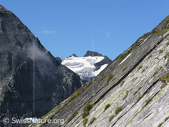 Foto: Blick vom Halbelfjoch beim Wannigletscher zum Hillehorn.