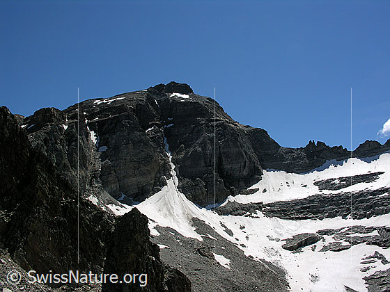 Foto: Wannigletscher mit Scherbadung und Passo degli Ometti. Blick vom Halbelfjoch.