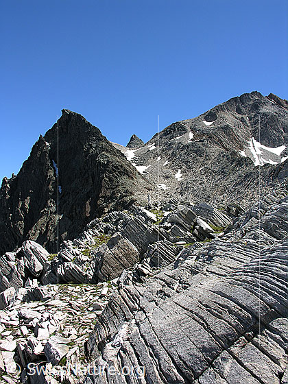 Foto: Blick vom Halbelfjoch beim Wannigletscher Richtung Fleschhorn und Punta Gerla. Dazwischen der Gipfel des Schwarzhorns.