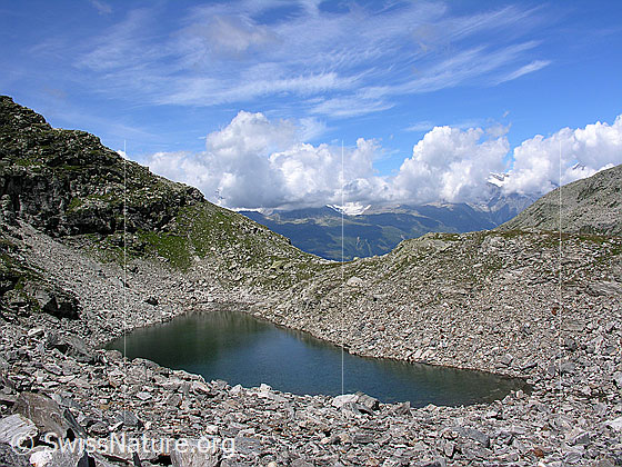 Foto: Im Abstieg vom Halbelfjoch beim Wannigletscher. Blick auf den Fleschsee.