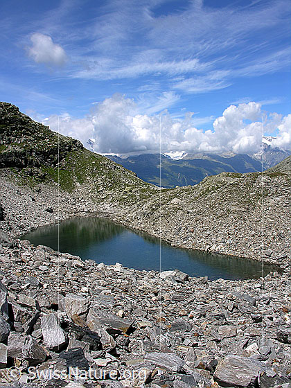 Foto: Im Abstieg vom Halbelfjoch beim Wannigletscher. Blick auf den Fleschsee.