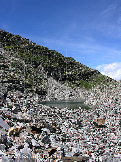 Foto: Fleschsee von E, umgeben von Geröll. Im Hintergrund der Grat zum Wannihorn.