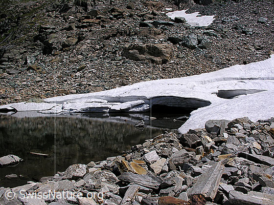 Foto: Kleiner Bergsee neben dem Fleschsee zum Teil mit Eis und Schnee bedeckt.