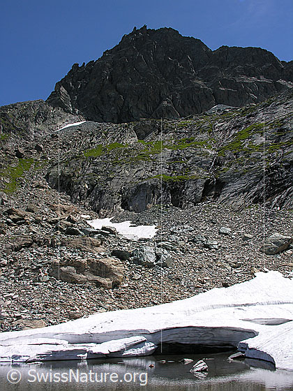 Foto: Kleiner Bergsee neben dem Fleschsee zum Teil mit Eis und Schnee bedeckt. Im Hintergrund das Fleschhorn.