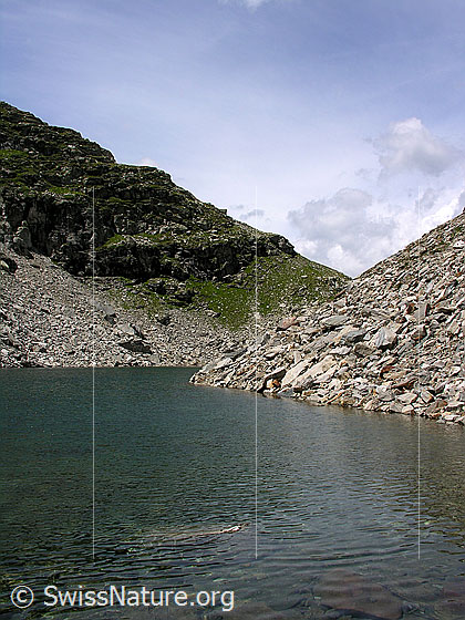 Foto: Fleschsee von E. Im Hintergrund der Grat zum Wannihorn.