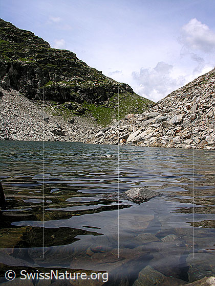 Foto: Fleschsee von E mit Wellen. Im Hintergrund der Grat zum Wannihorn.