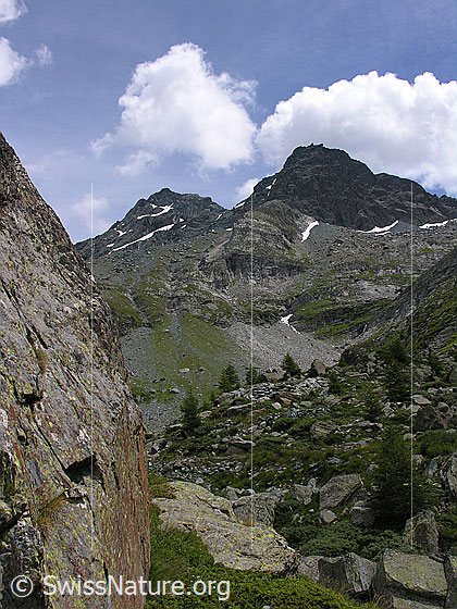 Foto: Blick vom Flesch zum Schwarzhorn und Fleschhorn.