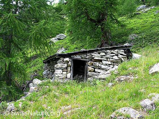 Foto: Idyllisch gelegene Steinhütte bei Lärchenstafel im Flesch.