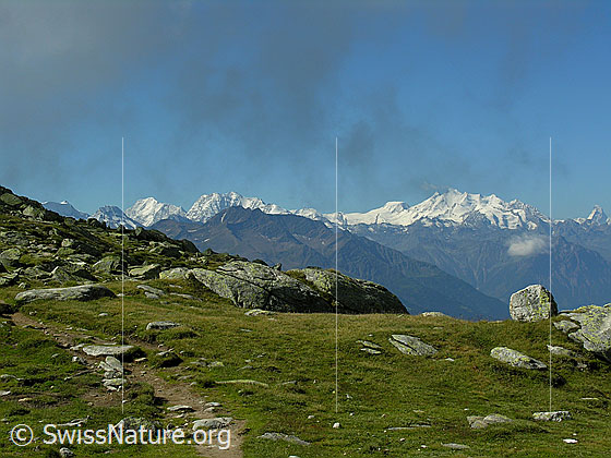 Foto: Auf dem Wanderweg im Aufstieg zum Risihorn. Blick Richtung Walliser Alpen mit Weissmies, Lagginhorn, Fletschhorn, Alphubel und Mischabelgruppe.