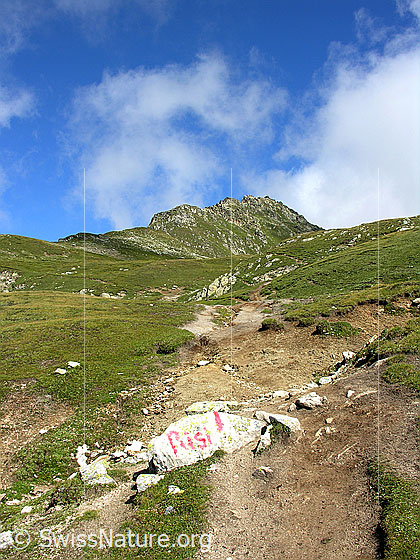 Foto: Auf dem Wanderweg Richtung Risihorn. Blick zum Gipfel.