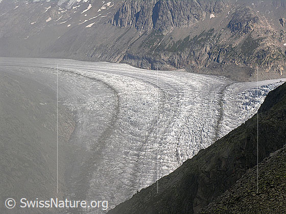 Foto: Blick vom Risihorn auf den Fieschergletscher.