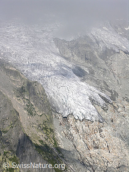 Foto: Blick vom Risihorn auf die Gletscherzunge des Triftgletschers.