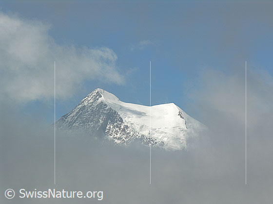 Foto: Blick vom Risihorn zum Gipfel des Aletschhorns.