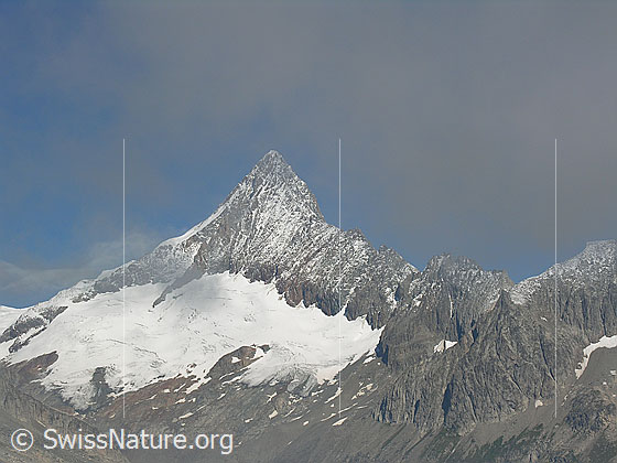 Foto: Blick vom Risihorn zum Finsteraarhorn.
