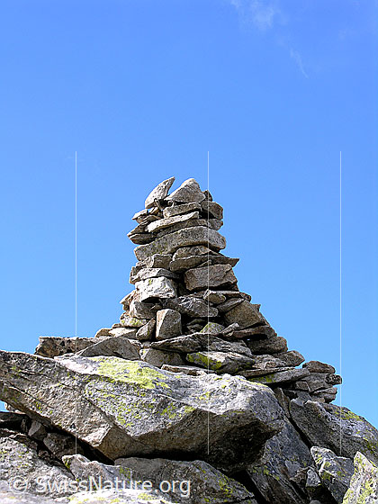 Foto: Steinmann auf dem Gipfel des Risihorns.