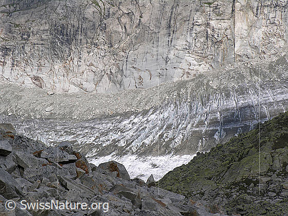 Foto: Blick vom Risihorn auf den Fieschergletscher. Mit quer verlaufenden Gletscherspalten (Querspalten). Auf dem Gletscher liegt viel Geröll.