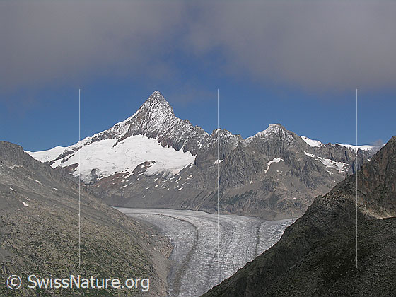 Foto: Blick vom Risihorn zum Finsteraarhorn und Finsteraarrothorn. Davor der Fieschergletscher.