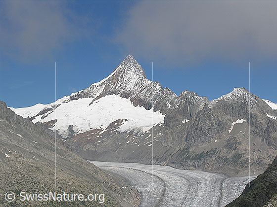 Foto: Blick vom Risihorn zum Finsteraarhorn und Finsteraarrothorn. Davor der Fieschergletscher.